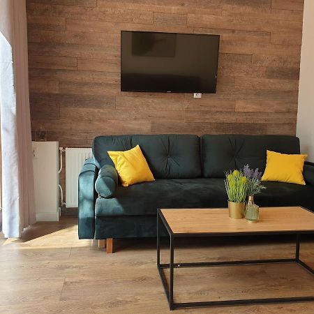 דירות לודז' Apartament Milionova מראה חיצוני תמונה