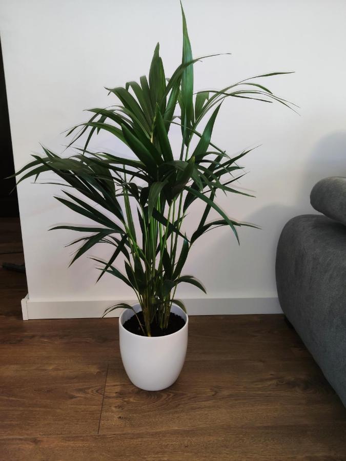 דירות לודז' Apartament Milionova מראה חיצוני תמונה